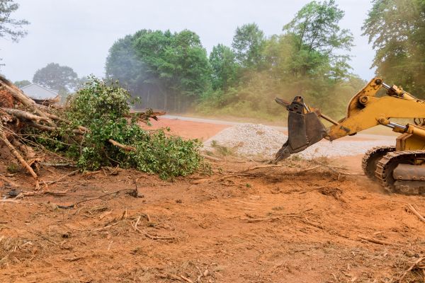 Ground Clearing in North Canton