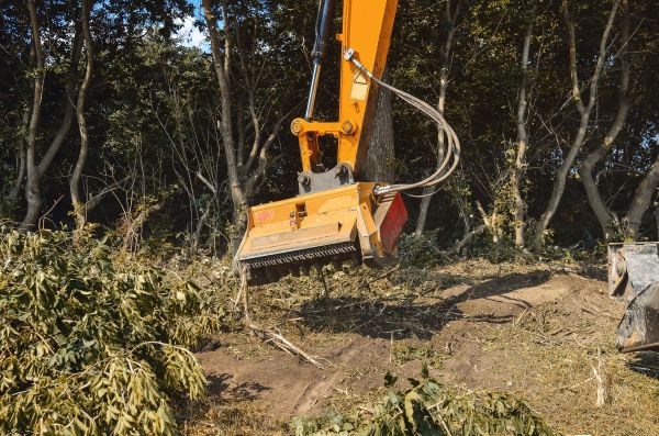 Brush Removal Service in North Canton