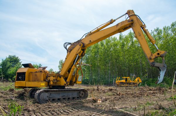 Farm Clearing in North Canton