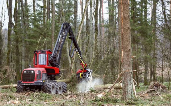 Forest Clearance Service in North Canton