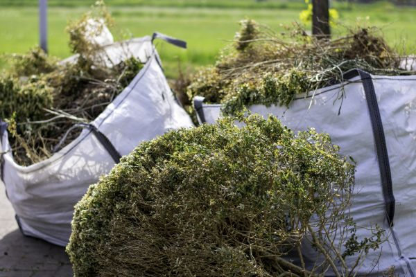 Bushes Clearing in North Canton