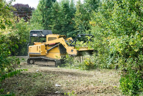 Pathway Clearing in North Canton