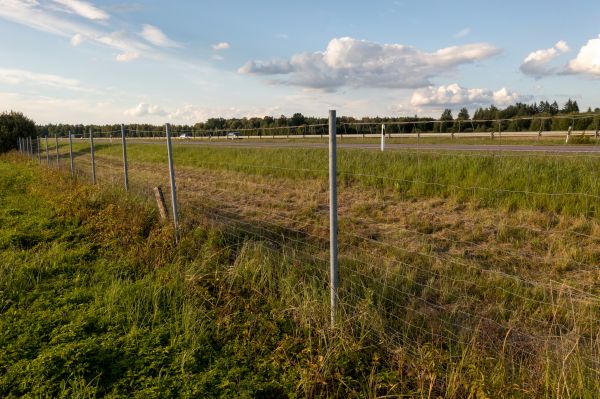 Property Line Clearing in North Canton