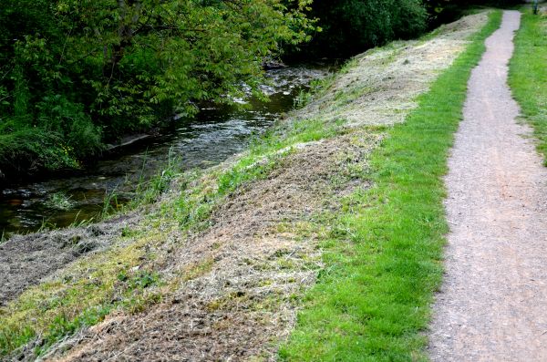 Trail Cutting in North Canton